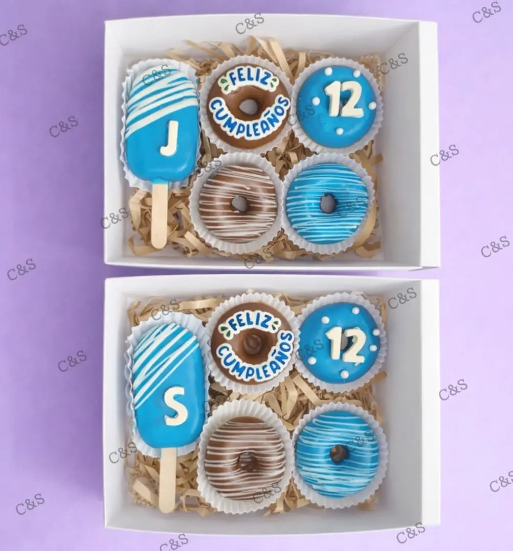 Combo de dos cake pops y ocho mini donas decoradas